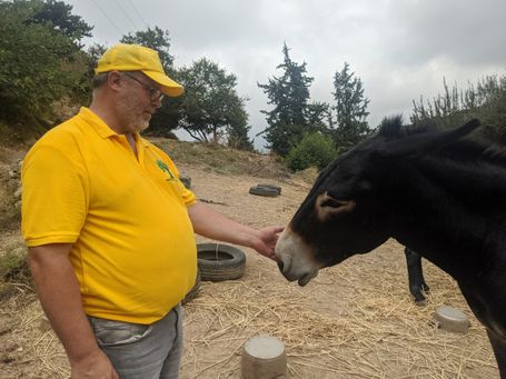 Mann füttert einen Esel